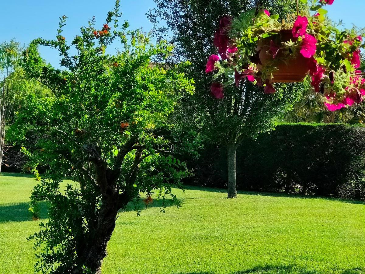 B&B Villa Letizia San Vito  Exterior photo